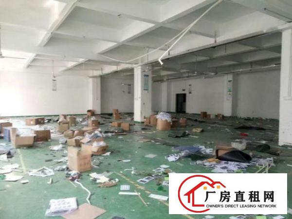  草围带装修厂房850平方出租