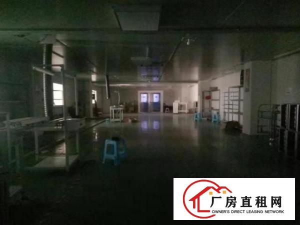  西乡无尘车间九围簕竹角黄麻布厂房整层1900平招租