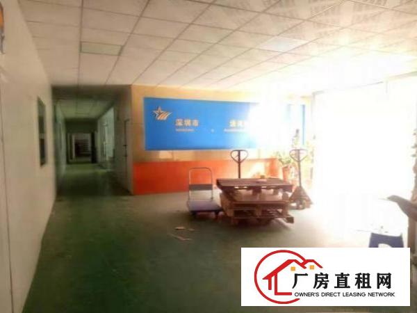  西乡无尘车间九围簕竹角黄麻布厂房整层1900平招租