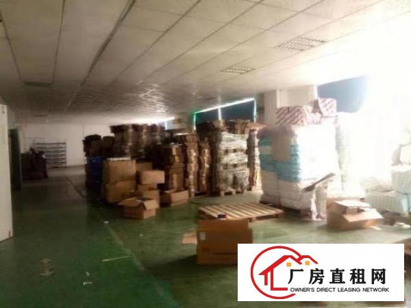  西乡无尘车间九围簕竹角黄麻布厂房整层1900平招租