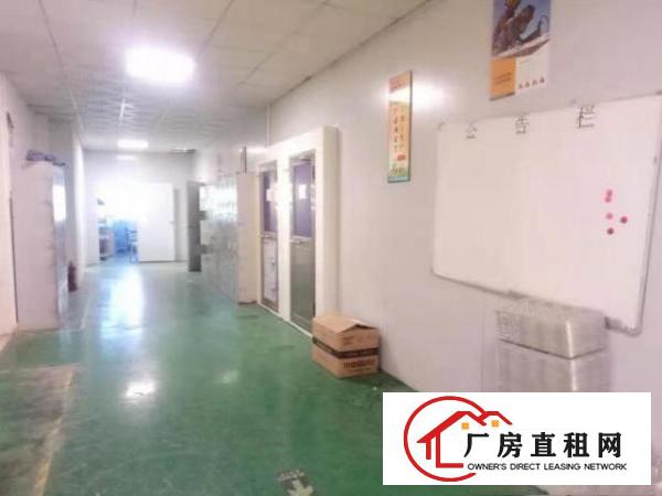  西乡无尘车间九围簕竹角黄麻布厂房整层1900平招租