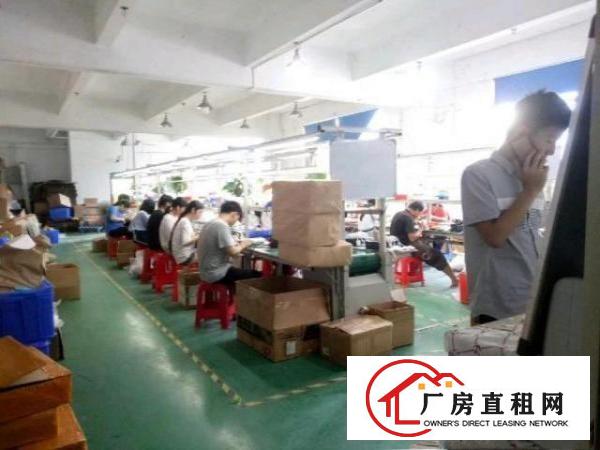 九围工业区或簕竹角带装修厂房1000平米招租