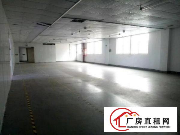  西乡九围工业区或簕竹角工业区带装修厂房1300平米