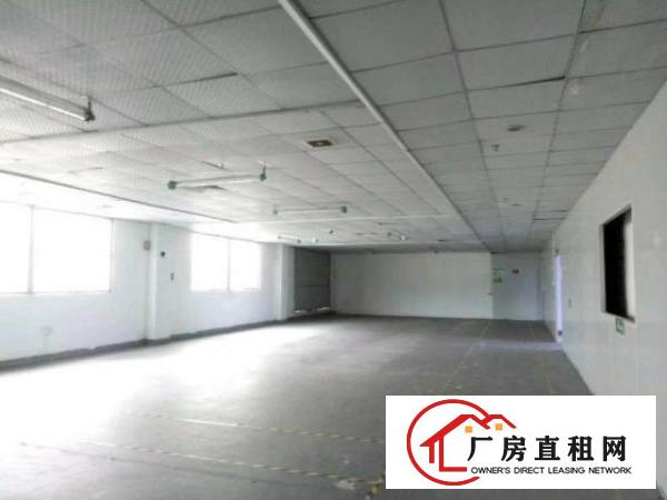  西乡九围工业区或簕竹角工业区带装修厂房1300平米
