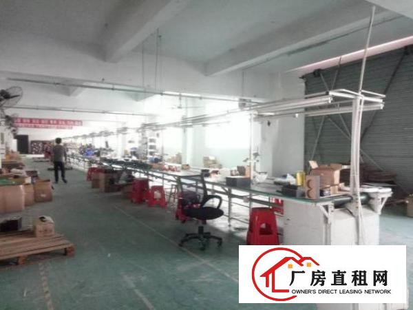  西乡九围工业区或簕竹角工业区厂房1300平米出租