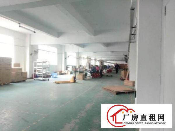  西乡九围工业区或簕竹角工业区厂房1300平米出租