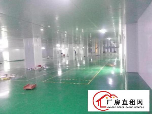  带装修厂房整层1680招租