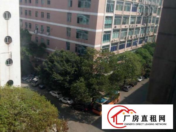  鹤洲恒丰工业城楼上3500平米带装修厂房招租，可分租