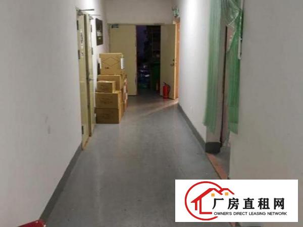  业主115平275平485平1260平厂房仓库出租