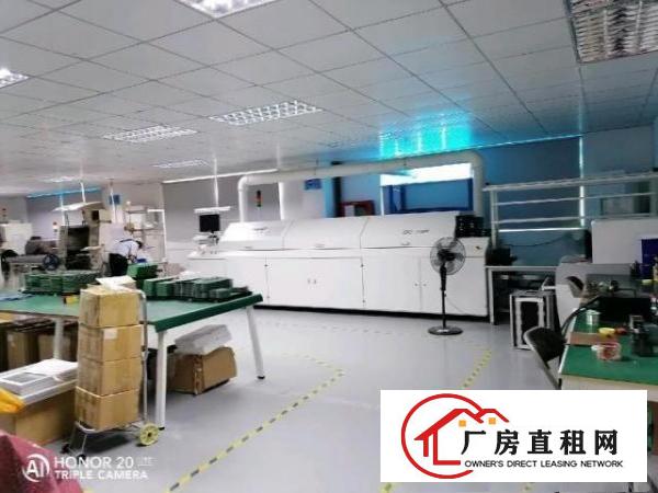  西乡107国道旁带豪华装修厂房700平方招租