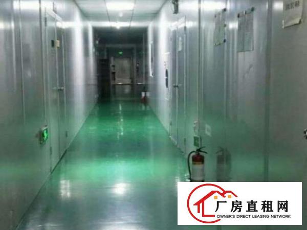  西乡带装修厂房整层2100平米（无尘车间）招租