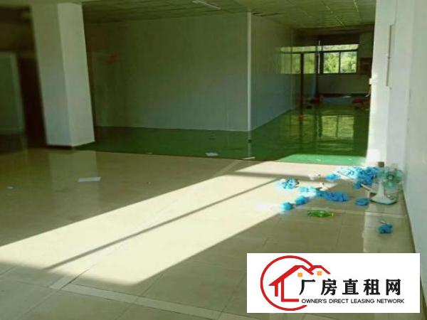  簕竹角带装修现成无尘厂房2300平米招租