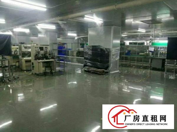  簕竹角带装修现成无尘厂房2300平米招租