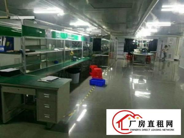  簕竹角带装修现成无尘厂房2300平米招租