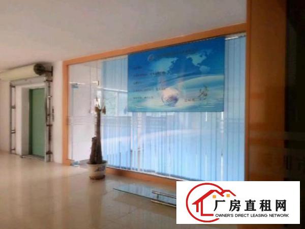  豪华装修厂房整层2000平方招租