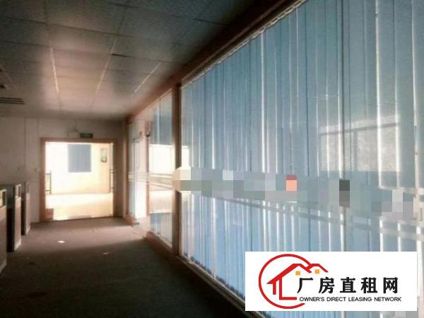  豪华装修厂房整层2000平方招租
