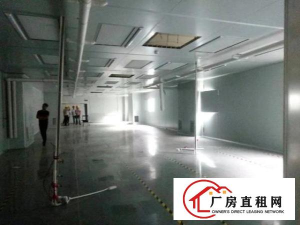  豪华装修厂房整层2000平方招租