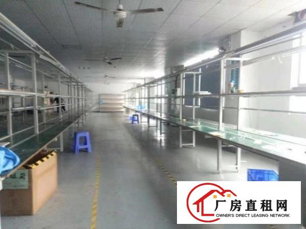  带装修无转让费厂房1000平方招租