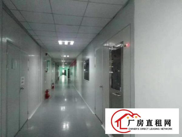  现成无尘车间厂房整层2600平米
