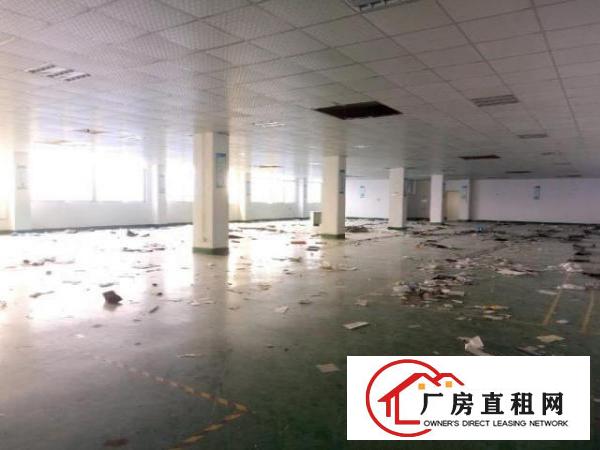  西乡107国道边豪华装修厂房整层1600平米