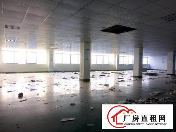  西乡107国道边豪华装修厂房整层1600平米