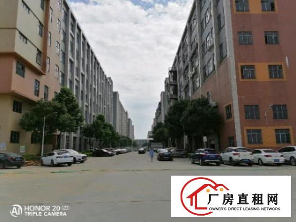  西乡107国道边豪华装修厂房整层1600平米