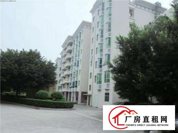  （转租）宝安西乡九围愉盛工业园新厂房650平米带装修厂房转租