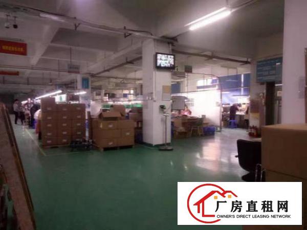  西乡鹤州工业区或九围工业区附厂房3500平米