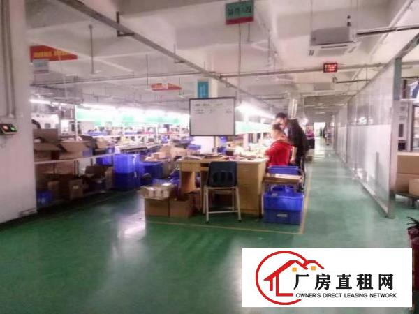  西乡鹤州工业区或九围工业区附厂房3500平米