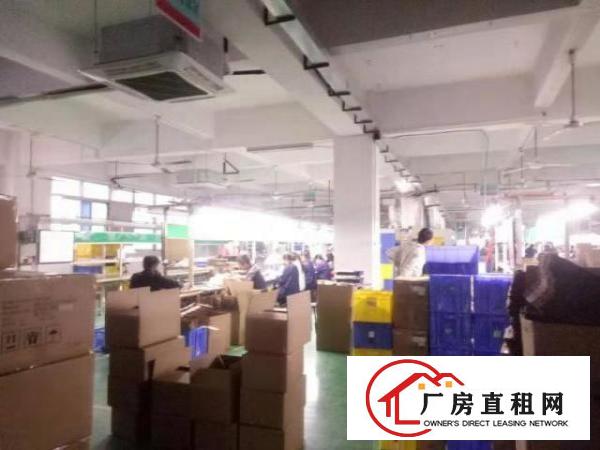  西乡鹤州工业区或九围工业区附厂房3500平米