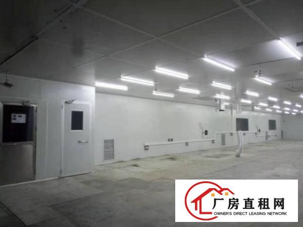  西乡带装修厂房整层1300平米招租