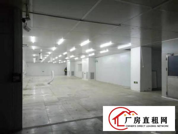  西乡带装修厂房整层1300平米招租