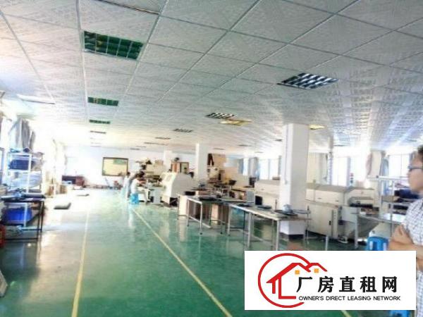  西乡洲石路簕竹角带装修厂房1080平米招租