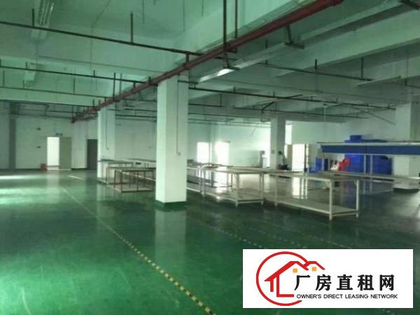  西乡洲石路簕竹角带装修厂房1080平米招租