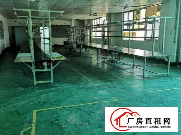  西乡宝运达附近工业区厂房车间、仓库