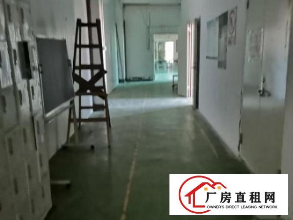  西乡宝运达附近工业区厂房车间、仓库