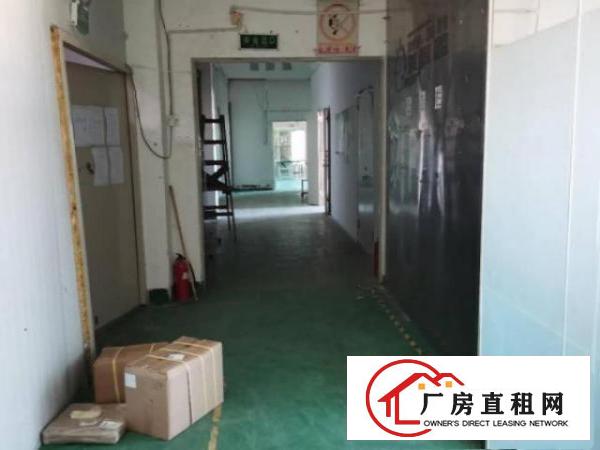  西乡宝运达附近工业区厂房办公室