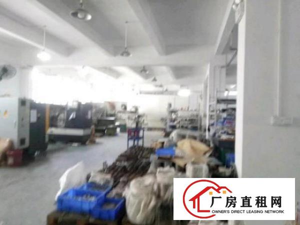  西乡九围工业区或洲石路附近一楼带装修厂房700平米
