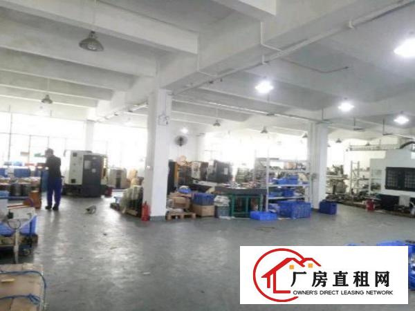  西乡九围工业区或洲石路附近一楼带装修厂房700平米