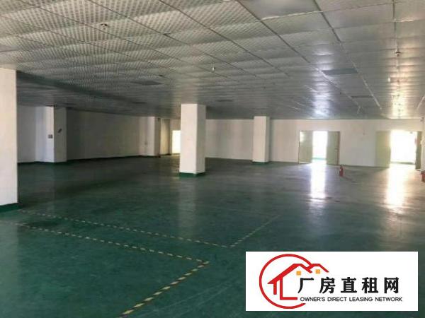  西乡洲石路边上或簕竹角黄麻布带装修厂房1510平米