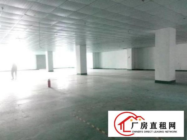  西乡洲石路边上或簕竹角黄麻布带装修厂房1510平米