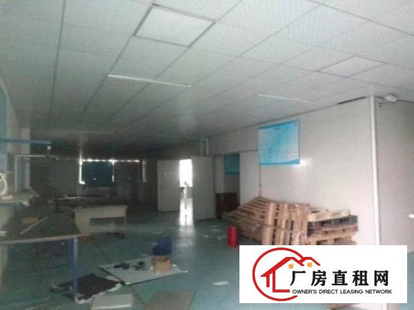  西乡九围工业区或簕竹角工业区带装修厂房1338平米