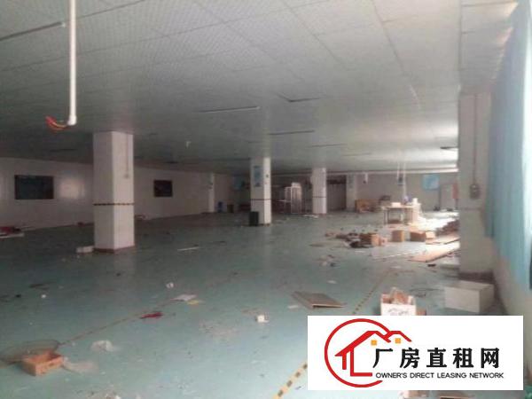  西乡九围工业区或簕竹角工业区带装修厂房1338平米