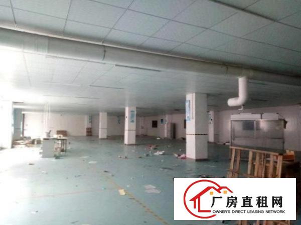 西乡九围工业区或簕竹角工业区带装修厂房1338平米
