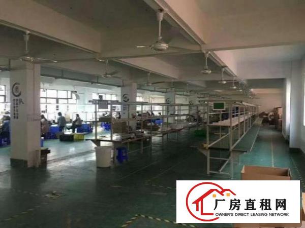  西乡洲石路旁或九围工业区内整层带装厂房1100平米