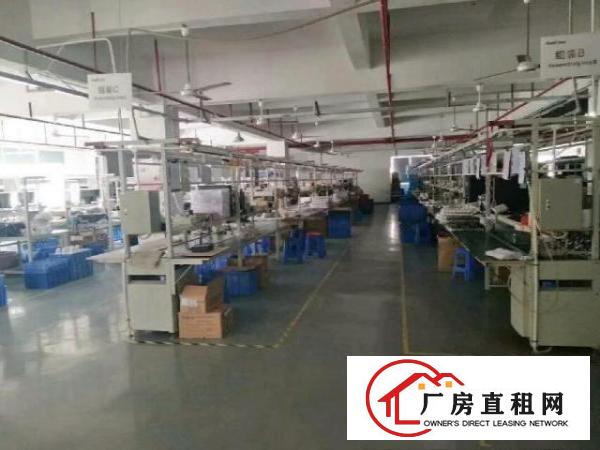  西乡簕竹角或黄麻布厂房1850平米出租