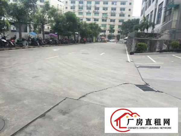  西乡带装修厂房2400平米招租