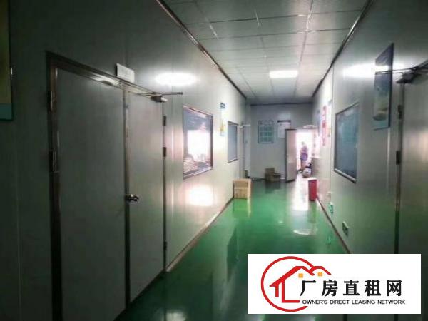 西乡九围簕竹角黄麻布工业区带装修厂房1500平米