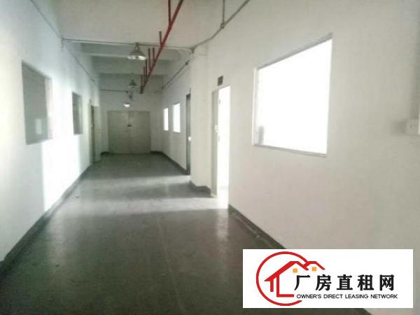  西乡洲石路边上黄麻布第三工业区附近带装修厂房1100平米