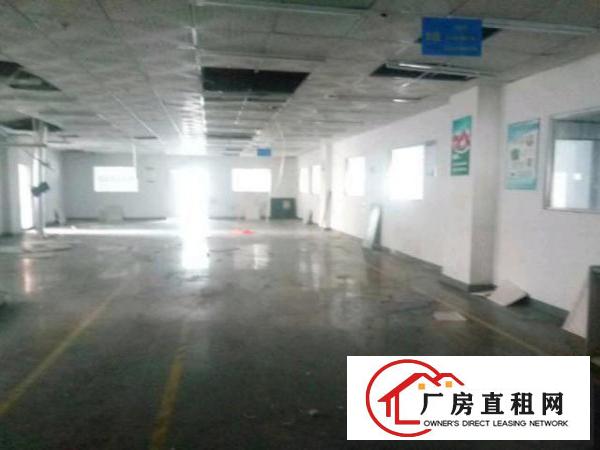  西乡洲石路边上黄麻布第三工业区附近带装修厂房1100平米